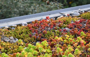 the cost of Leuchars green roof installation